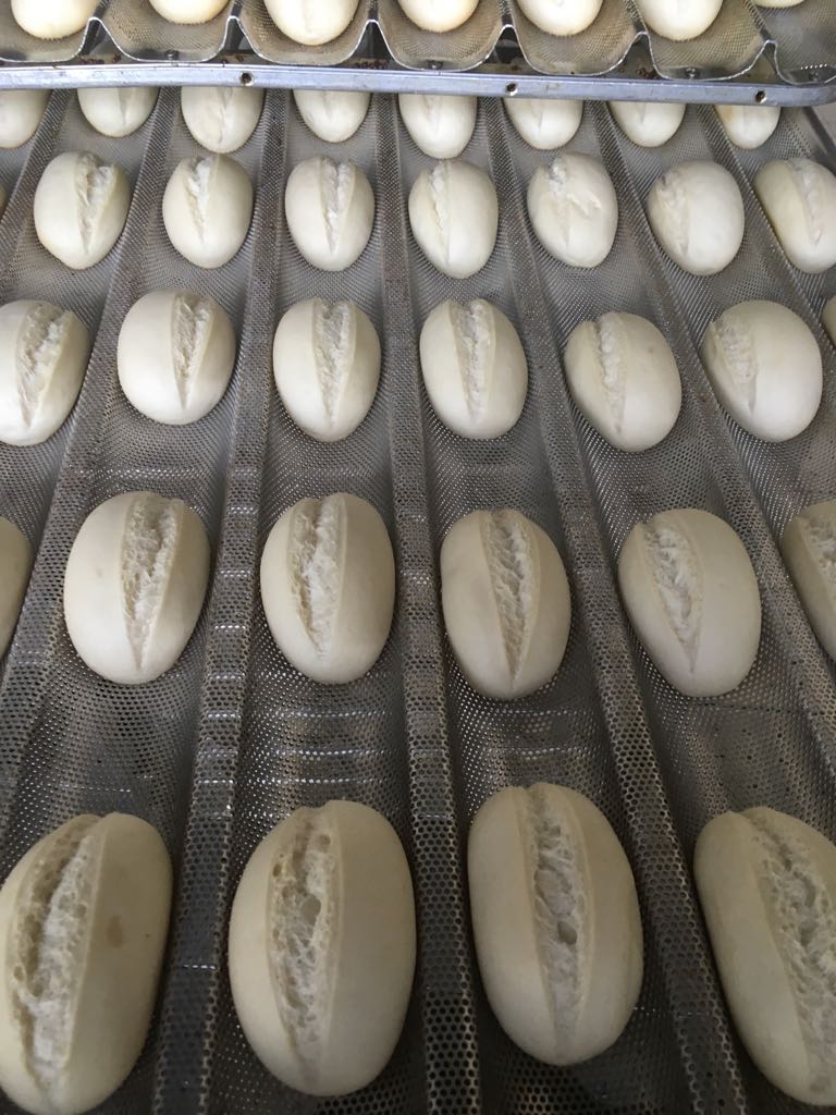 Baguette Galileo - Beor 5